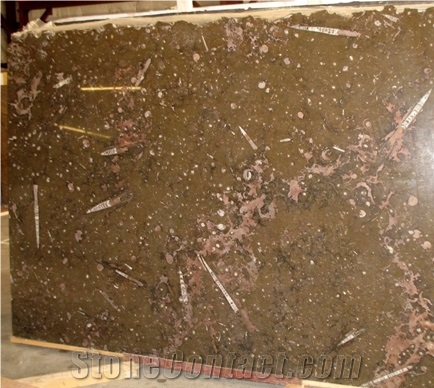 Fossil Brown Marble Slabs, Iceland Brown Marble