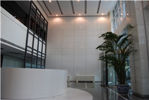 Marmoglass, Marmo Glass Building Wall Covering