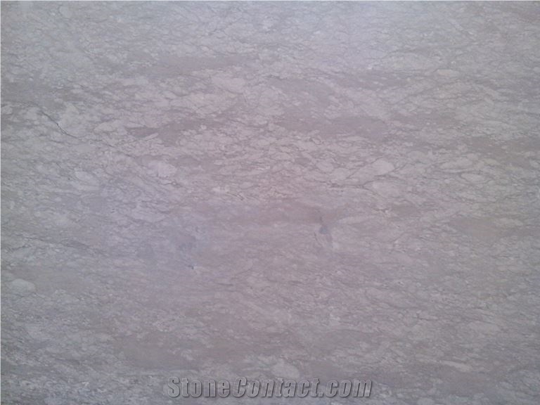 Vola Grey Limestone Slabs, Bulgaria Grey Limestone