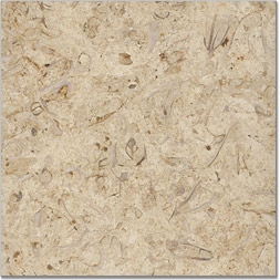 Belgian Truffles Limestone Tiles