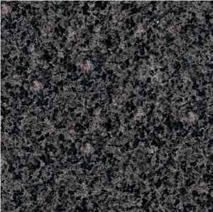 Padang Dark Granite Tiles, China Grey Granite