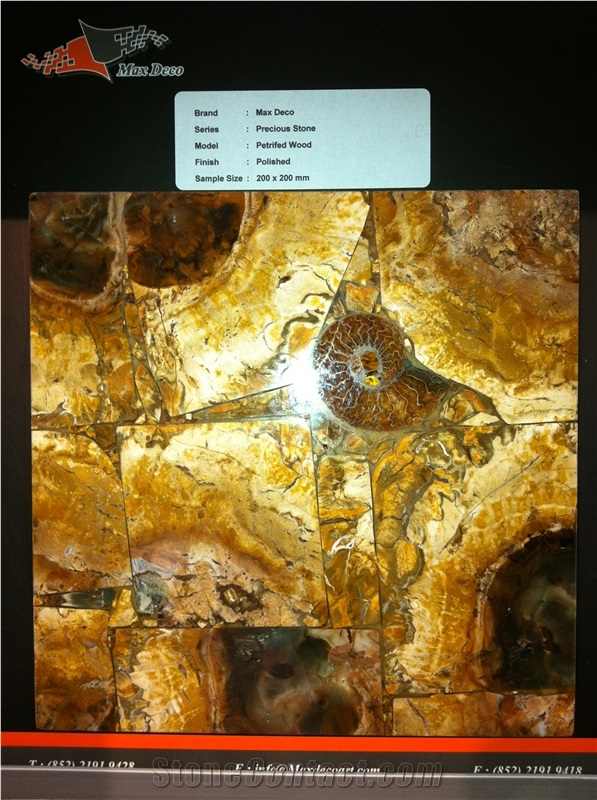 Petrified Wood Semiprecious Stone