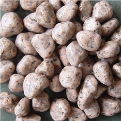 Pebble Stone 005