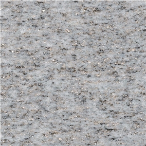 Beola Bianca Quartzite Slabs, Italy White Quartzite