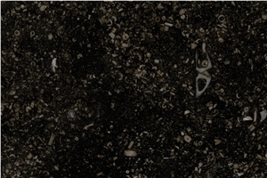 Black Fossil Limestone Slabs, Petit Granit Black Limestone Slabs