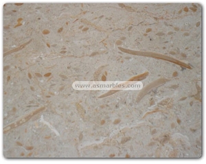 Travera Limestone Tiles, Pakistan Beige Limestone