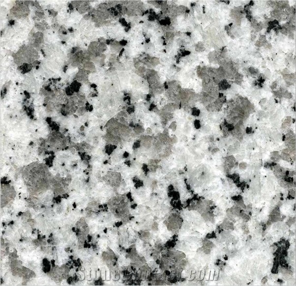 G439 Big White Flower, G439 White Granite Tiles