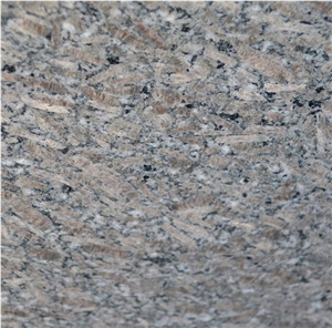Fox Brown Granite Tiles, India Brown Granite Fox Brown Granite Tiles, India Brown Granite