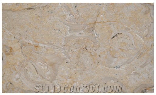Fossil Oro Limestone Tile Flooring, Israel Yellow Limestone