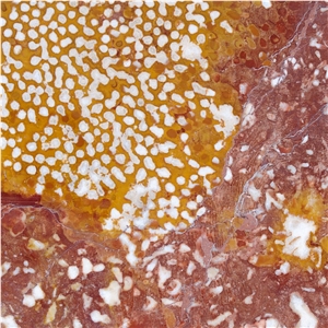 Adneter Rot Tropf Limestone Slabs, Austria Red Limestone