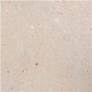 Untersberger Forelle Limestone Tiles, Austria Beige Limestone