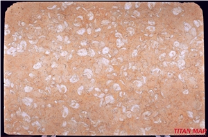 Fosilius Limestone Slabs & Tiles, Turkey Pink Limestone