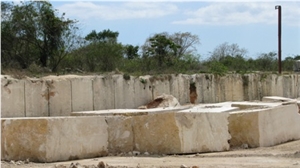 Golden Coral Stone Blocks, Coralina Gold Coral Stone Block