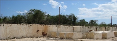 Golden Coral Stone Blocks, Coralina Gold Coral Stone Block