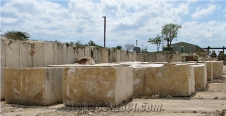 Golden Coral Stone Blocks, Coralina Gold Coral Stone Block