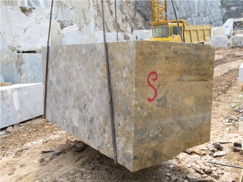 Cicily Grey (Breccia Paradiso), Breccia Paradiso Grey Marble Block