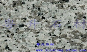 Gris Perla Granite Slabs & Tiles,China Grey Granite Gris Perla Granite Slabs & Tiles,China Grey Granite