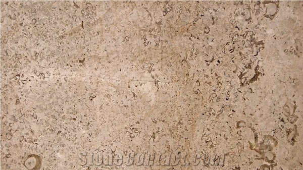 Cafe Penuela Limestone Tiles, Mexico Brown Limestone