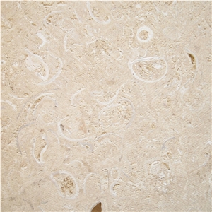 Coquina Shellstone