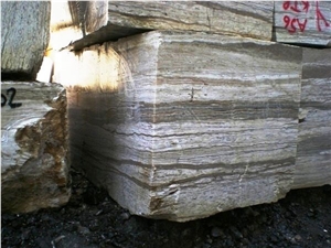 Turkish Traonix, Turkey Grey Onyx