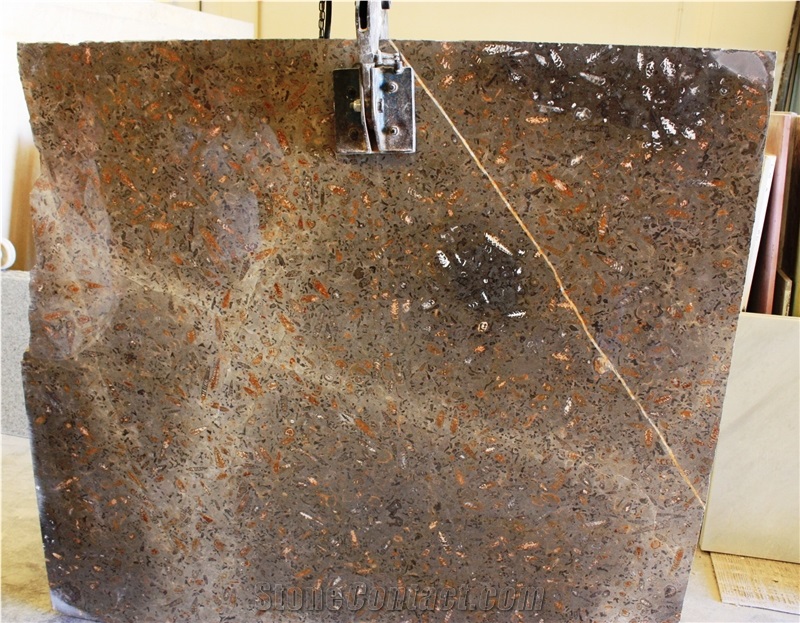 Fossil Grey Limestone Slabs & Tiles, Spain Grey Limestone