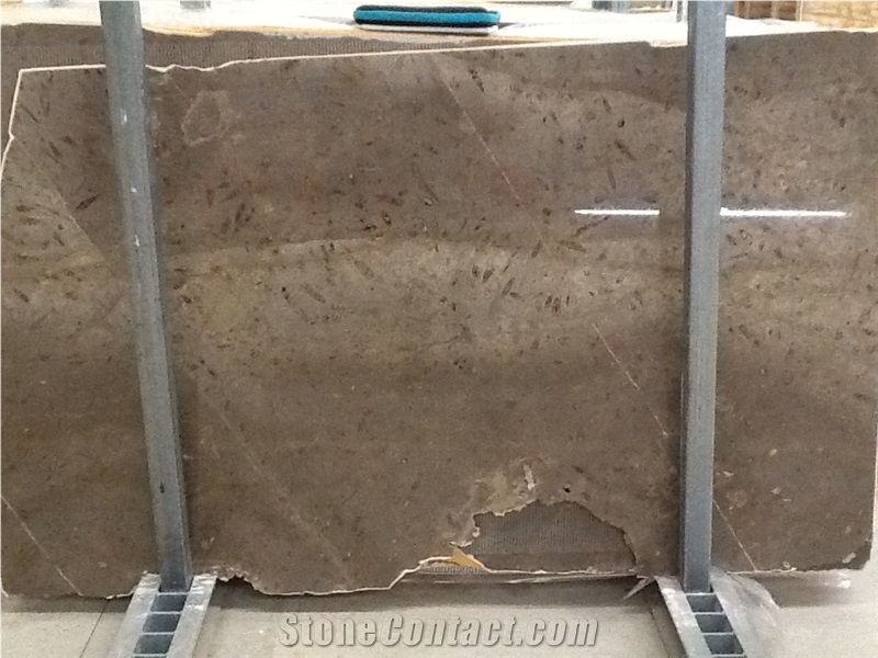 Fossil Grey Limestone Slabs & Tiles, Spain Grey Limestone