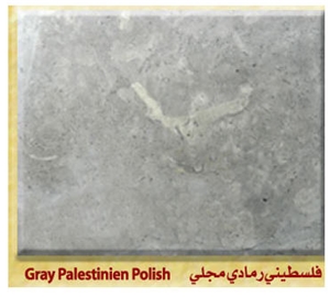 Palestinian Gray Limestone Honed, Polished Palestinian Gray Limestone Honed, Polished