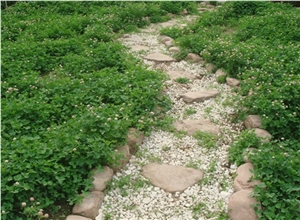 Stepping Stones，red Slate