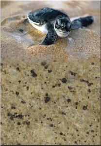 Crystal Gold Granite Tiles, Brazil Yellow Granite