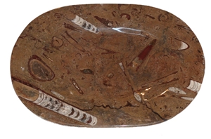 Alssamra - Fossil Platter Oval Medium, Gr ,e Fossil Brown Limestone Plate