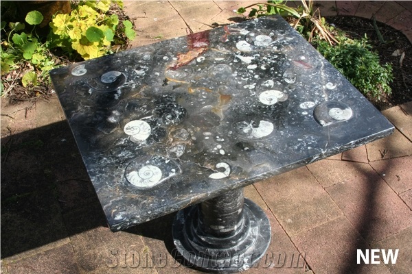 Fossil Table - Rectangular, Jameella, Moroccan Fossile Black Limestone Tables