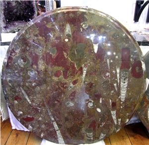 Fossil Table Top - Round, Jameella, Pietra Di Erfoud Brown Limestone Table Tops