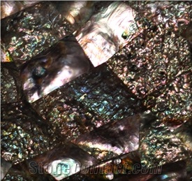 Paua Dream Mother Of Pearl Shell Tiles