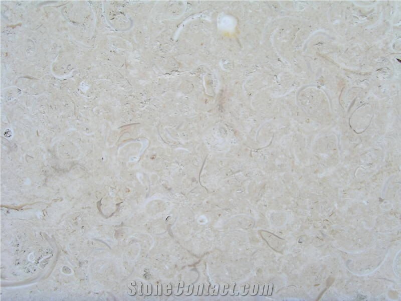 Coquina Shellstone, Mexican Coral Stone, Coquina Shellstone Tiles