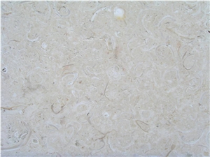 Coquina Shellstone, Mexican Coral Stone, Coquina Shellstone Tiles