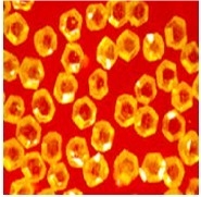 Synthetic Diamond Powder