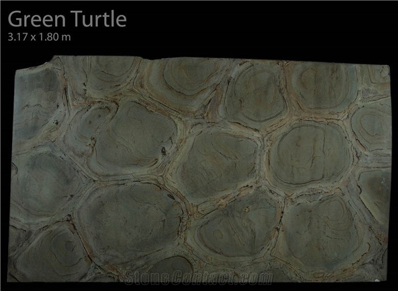Green Turtle (Verde Tortuga), Verde Tortuga Green Quartzite Slabs