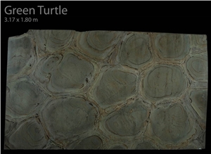 Green Turtle (Verde Tortuga), Verde Tortuga Green Quartzite Slabs Green Turtle (Verde Tortuga), Verde Tortuga Green Quartzite Slabs