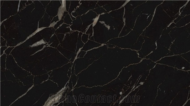 Nero St Laurent Marble Slab & Tile, France Black Marble