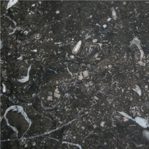 Noir De Mazy Antique Floor Tiles, Limestone