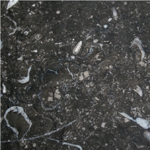 Noir De Mazy Antique Floor Tiles, Limestone