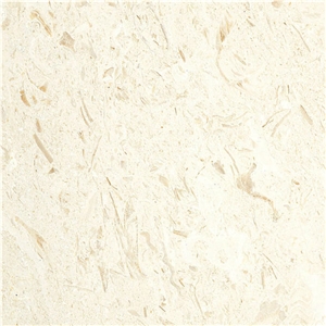 Moonlight Fossil Beige Blocks, Fossil Beige Limestone Block