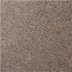 Diorite Chiara, Diorite Di Traversella, Diorite Di Traversella Granite Slabs & Tiles