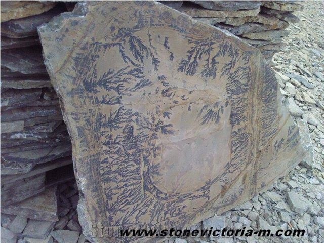 Fossil Stone, Brown Limestone Flagstone