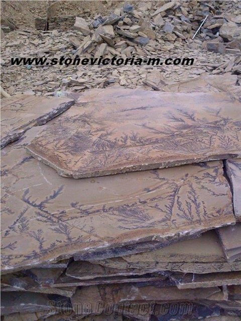 Fossil Stone, Brown Limestone Flagstone