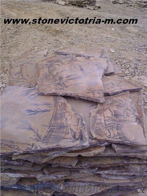Fossil Stone, Brown Limestone Flagstone