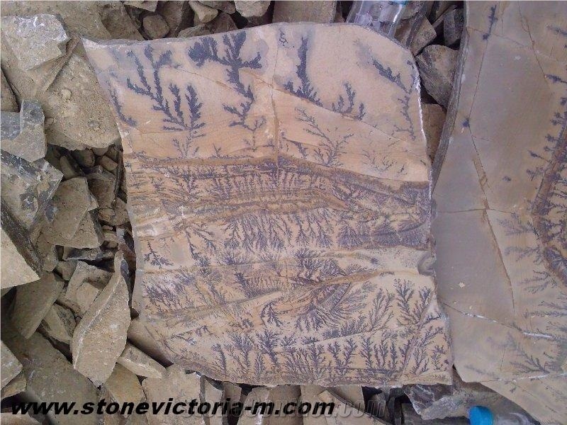 Fossil Stone, Brown Limestone Flagstone