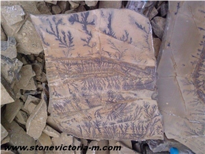 Fossil Stone, Brown Limestone Flagstone