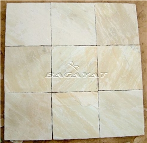 Tint Mint Sandstone Pavement, Fossil Mint Sandstone