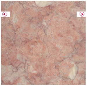 Lioz Santo Florient, Lioz ST.Floriant, Lioz Santo Florient Limestone Slabs & Tiles